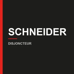 SAFE — Disjoncteurs et protection