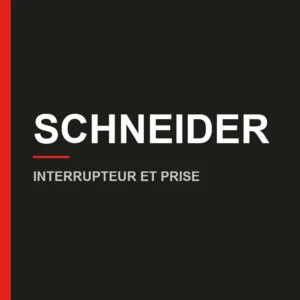 SAFE — Interrupteurs et prises
