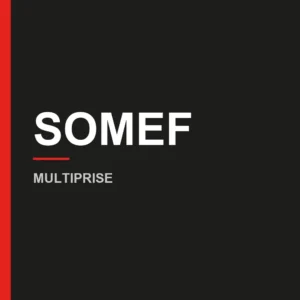 SAFE — Multiprises et bureautique