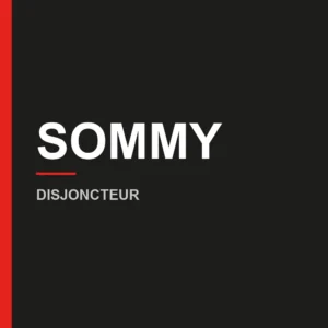 SAFE — Disjoncteurs et protection
